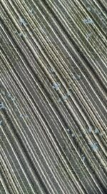 کراوات کج راه i290 - Image 6