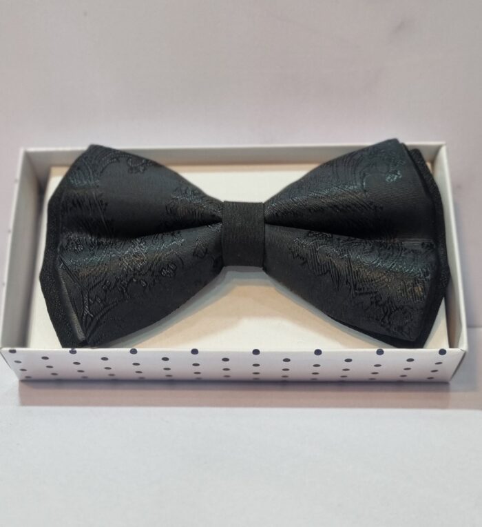 پاپیون P21 - Image 2