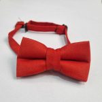 پاپیون بچگانه P32